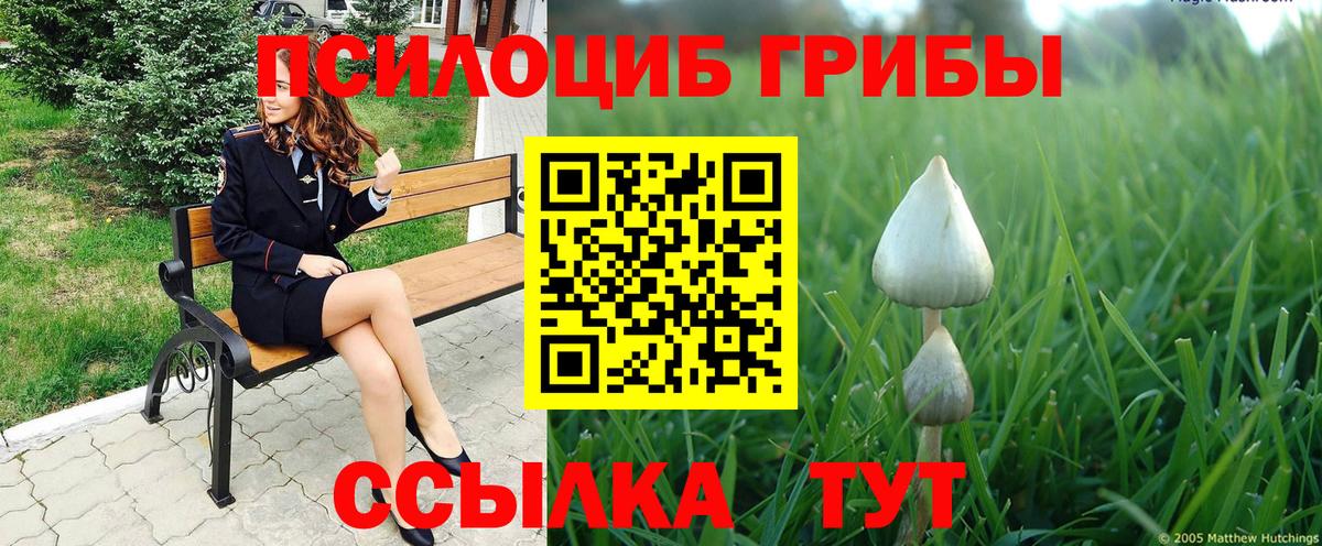 Галлюциногенные грибы Magic Shrooms  Вход с VPN  Минеральные Воды  магазин продажи   Псилоцибиновые грибы прущие грибы 